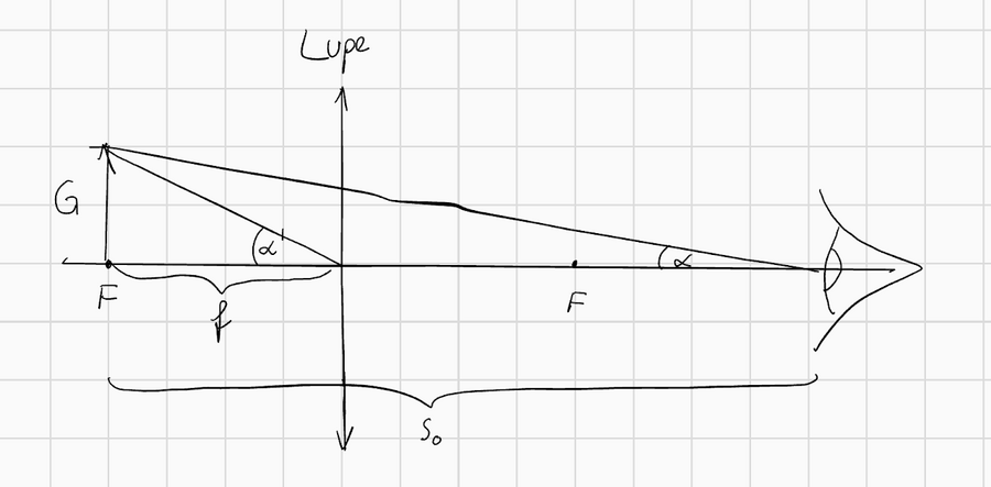 lupe.png